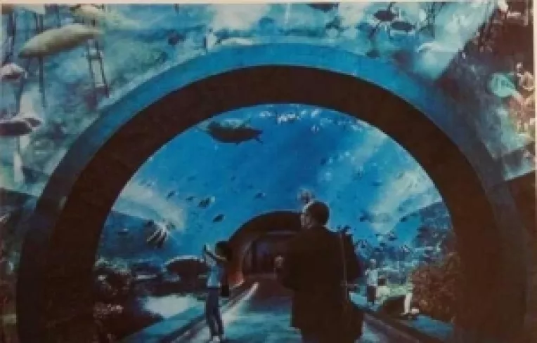 Aquadom la Bucuresti: Acvariu urias cu tuneluri pentru observarea vietii subacvatice