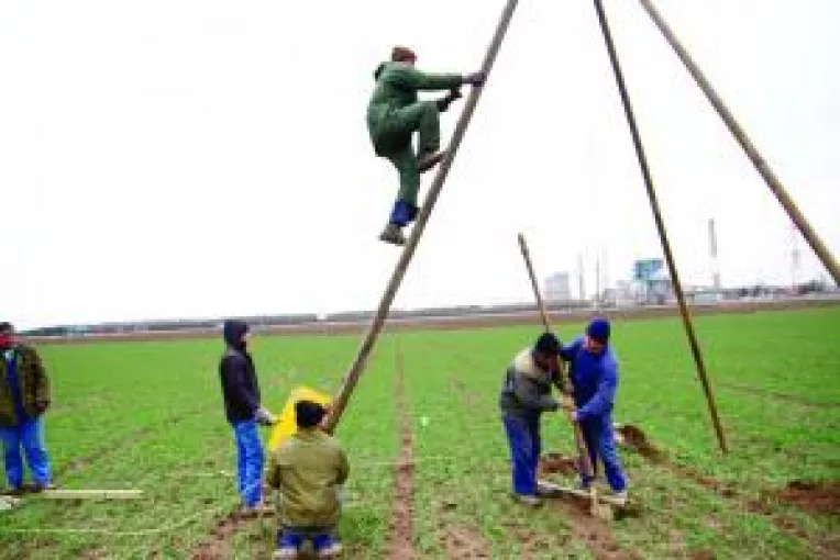 Ce dai sa-ti retrocedez pamantul?