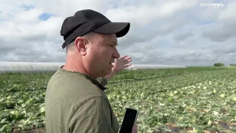 Fermierii din Olt, nevoiti sa arunce legumele. Varza nu se cumpara nici cu pretul de 20 de bani / kg
