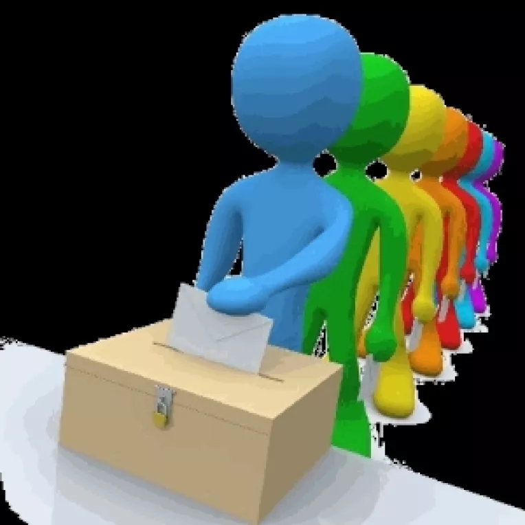 Ghid pentru alegatori