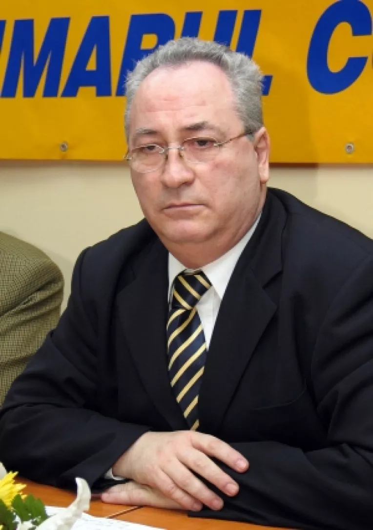 Hasotti: Opozitia este o varianta terapeutica pentru PNL, dupa 4 ani de guvernare
