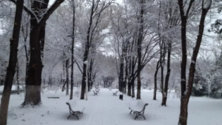 Parcul Carol este eclectic, o combinatie intre stilul geometric si stilul peisager