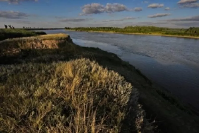 Situl Natura 2000 Bratul Borcea poate sa devina Parc Natural